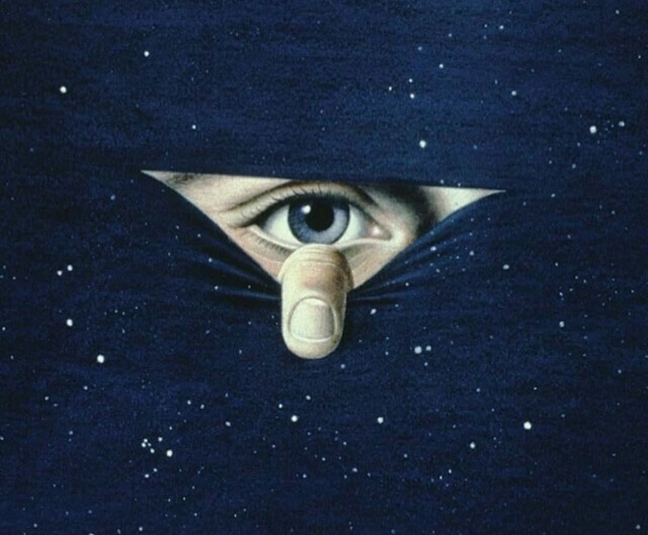 the PROTECTED premium cotton canvas tote bag