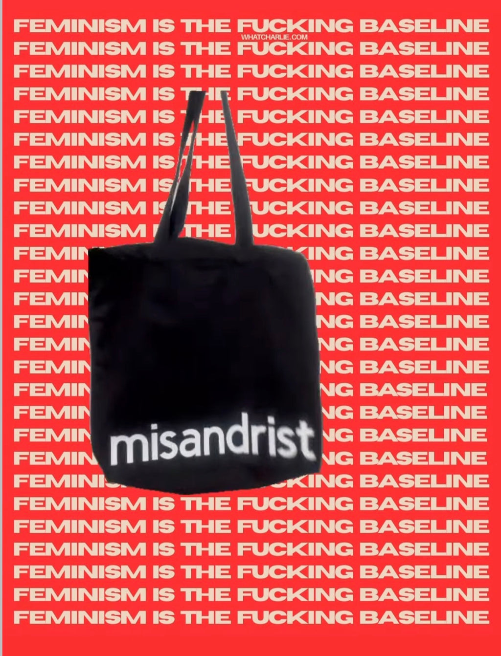 the FEMINIST MISANDRIST premium cotton canvas tote bag