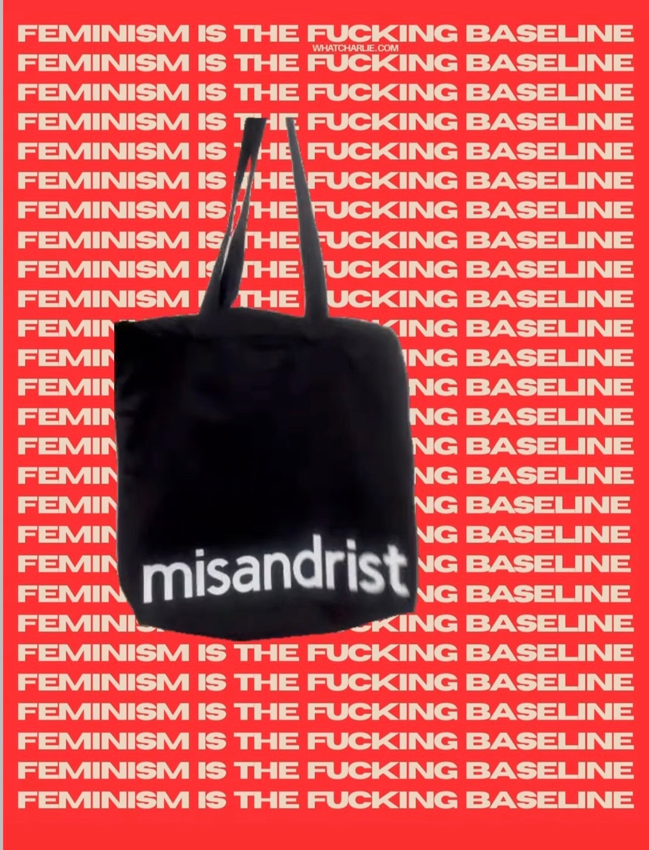 the FEMINIST MISANDRIST premium cotton canvas tote bag